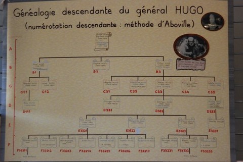 arbre de Victor Hugo