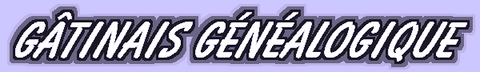 Gâtinais Généalogique  45
