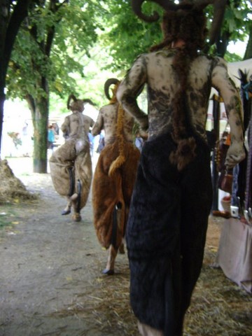 Fete médievale Brie Comte Robert